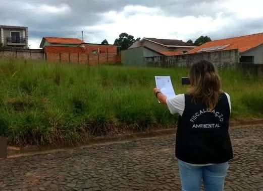 Multa para terreno baldio pode variar de R$ 1.815,60 a R$ 104.466,36 em Ponta Grossa